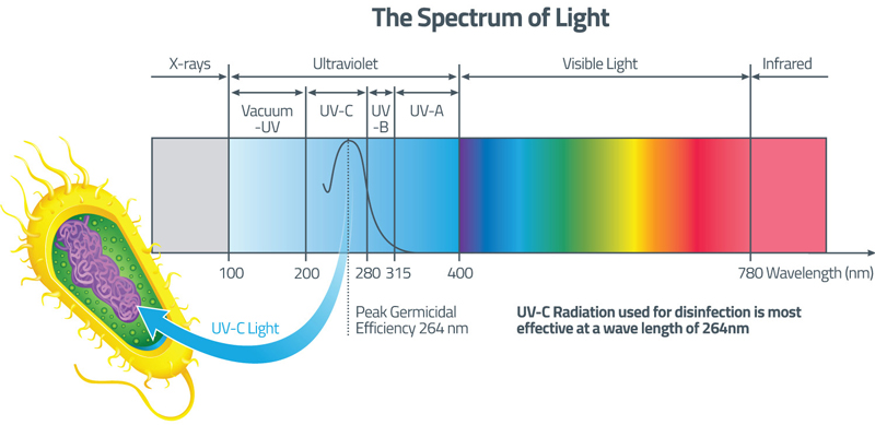 UV-C Radiation